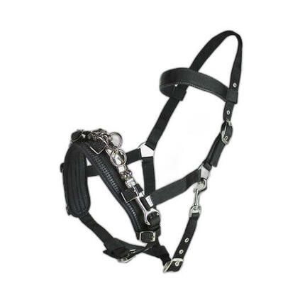 Caveçon pour cheval Horze