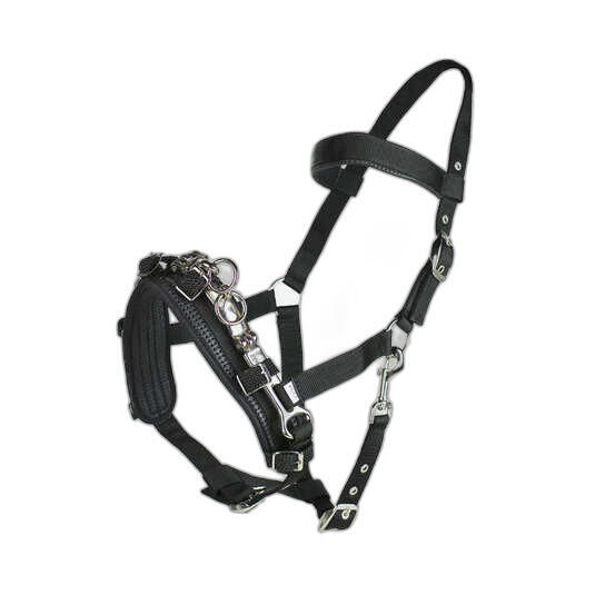Caveçon pour cheval Horze