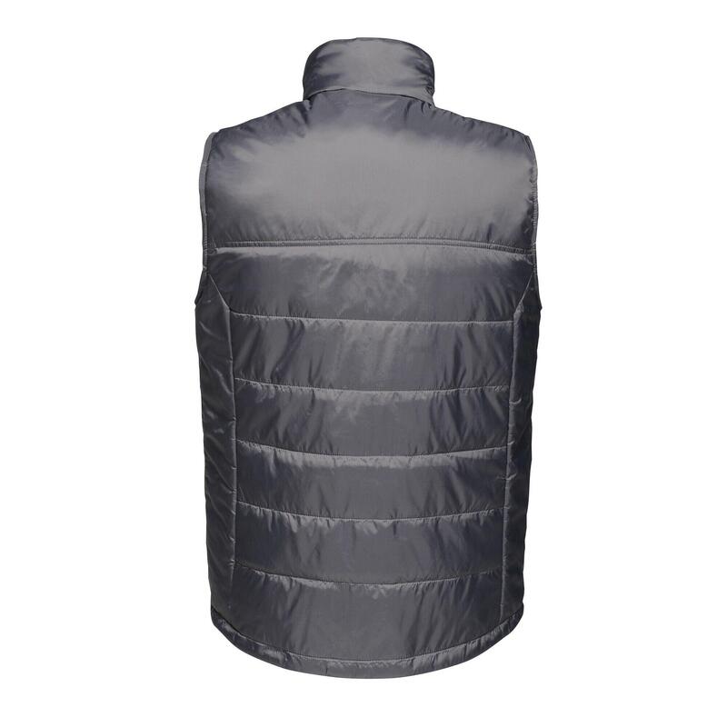 Veste Sans Manches Homme (Gris)