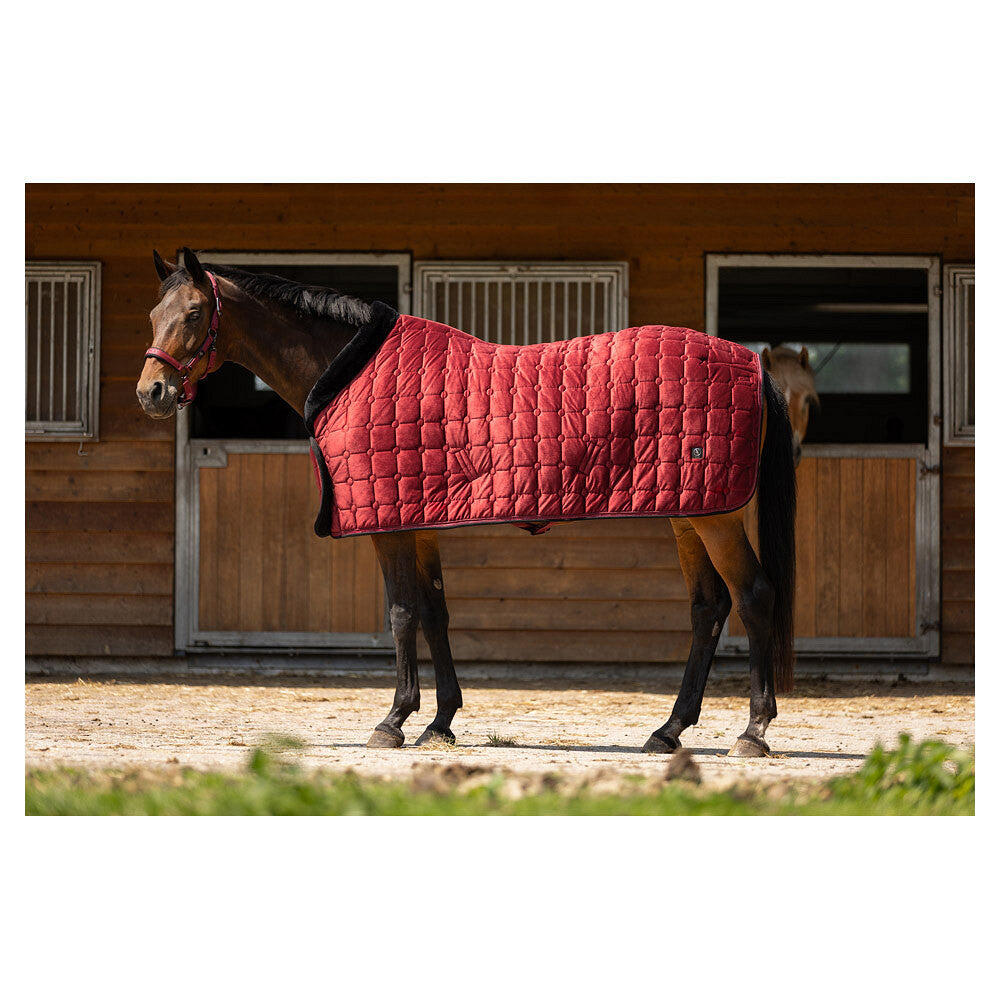 Manta polar de secado para caballos BR Equitation CLX 6/7
