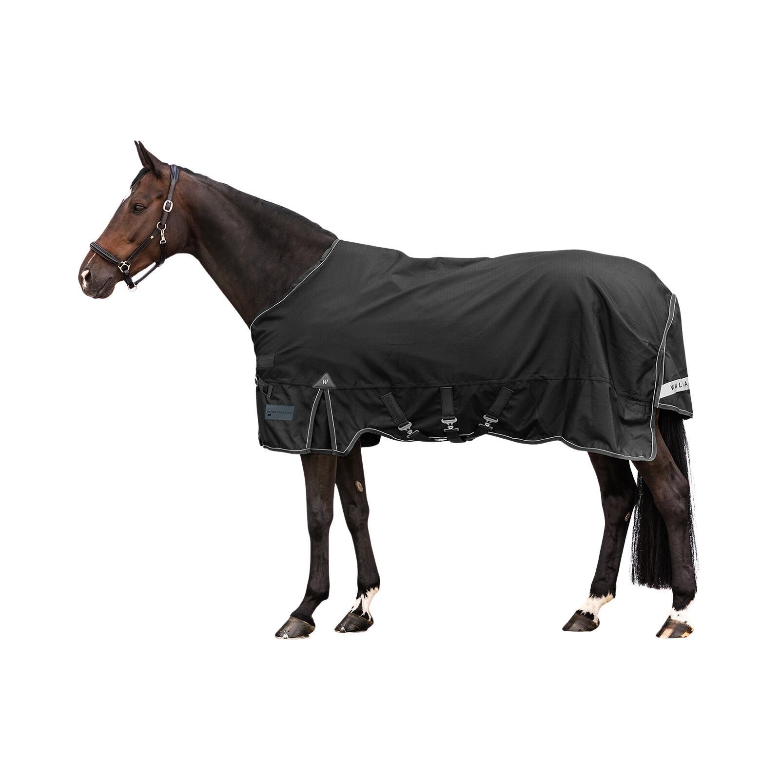 Waldhausen - Couverture D'Extérieur Pour Cheval Imperméable Waldhausen Light Scandic 0g - Couverture Cheval - Noir - 130cm - Decathlon