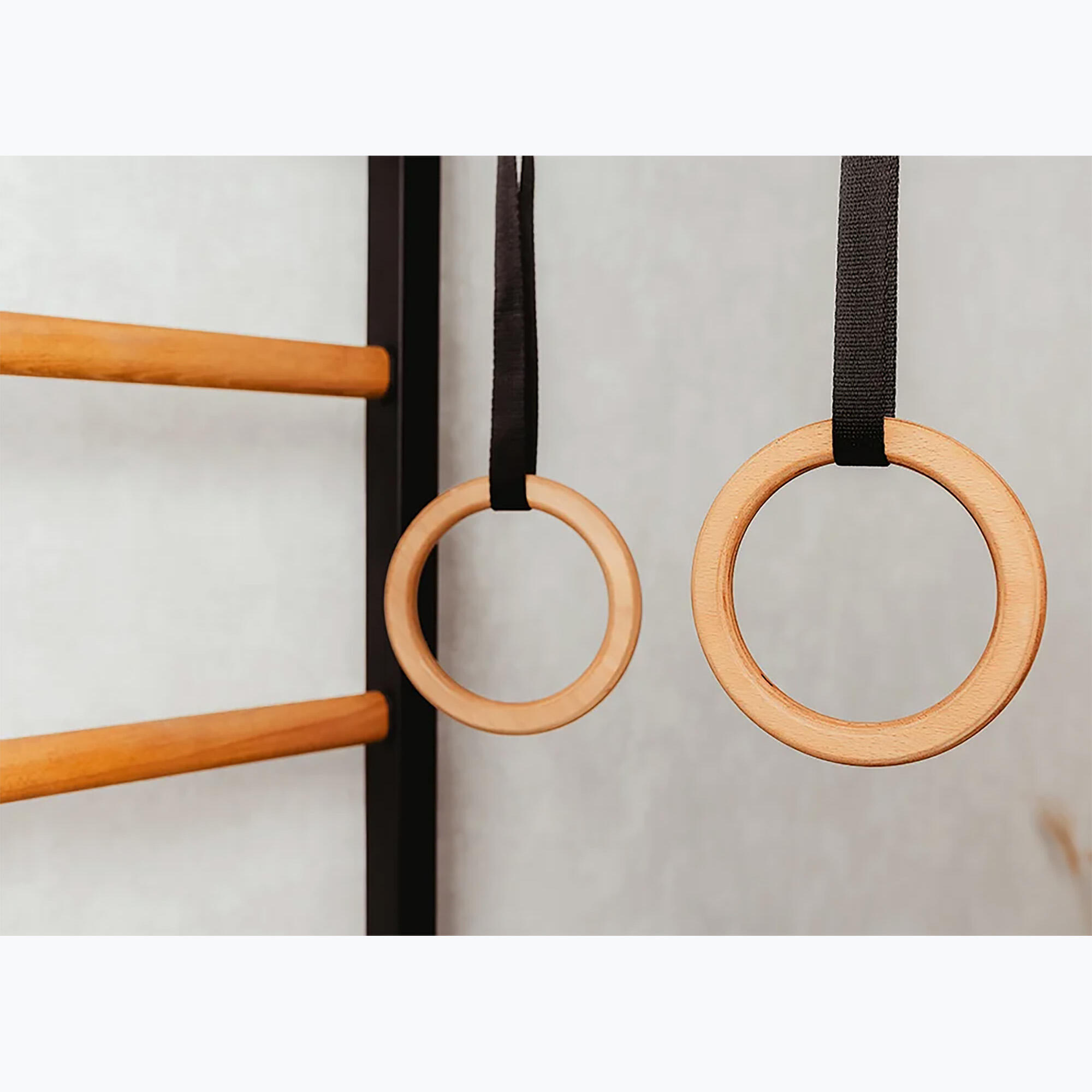 Sprossenwand "212B+A076". BenchK 6/7