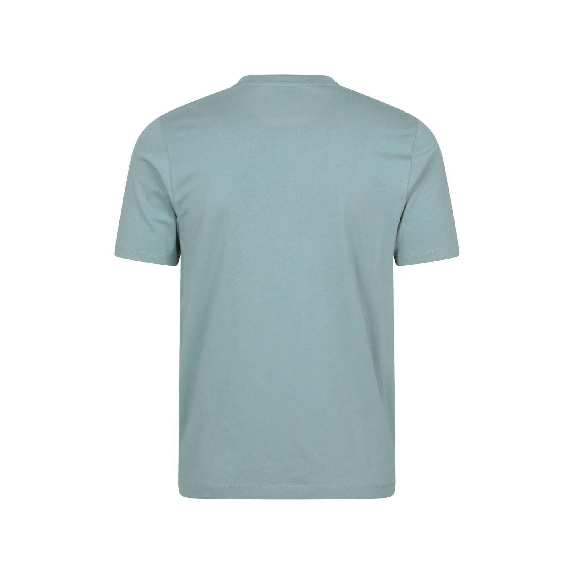 Tshirt Manches Courtes BRIGHTON Homme (Vert Pâle) 2/4