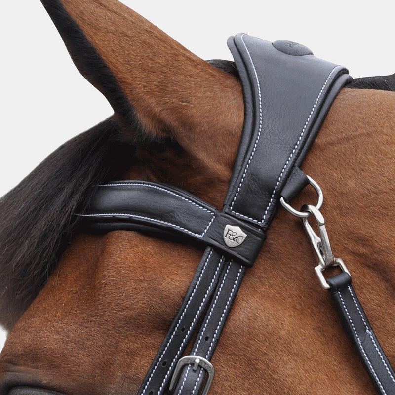 Bridons équitation combiné Flags&Cup Comfort 3/4