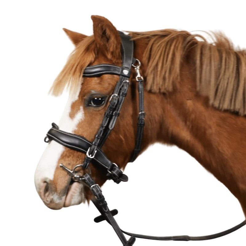 Bridons équitation combiné Flags&Cup Comfort 2/4