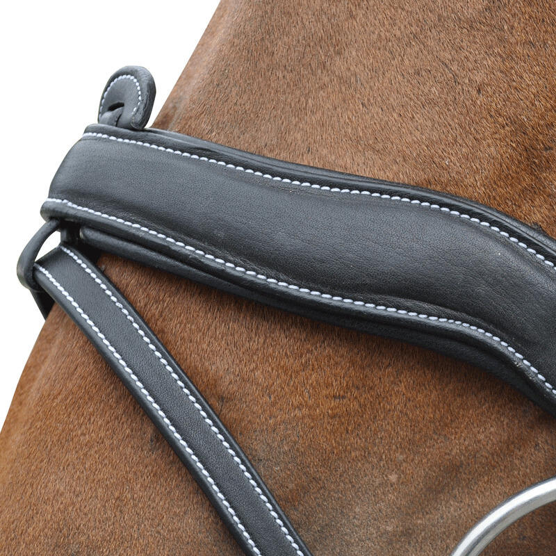 Bridons équitation combiné Flags&Cup Comfort 4/4