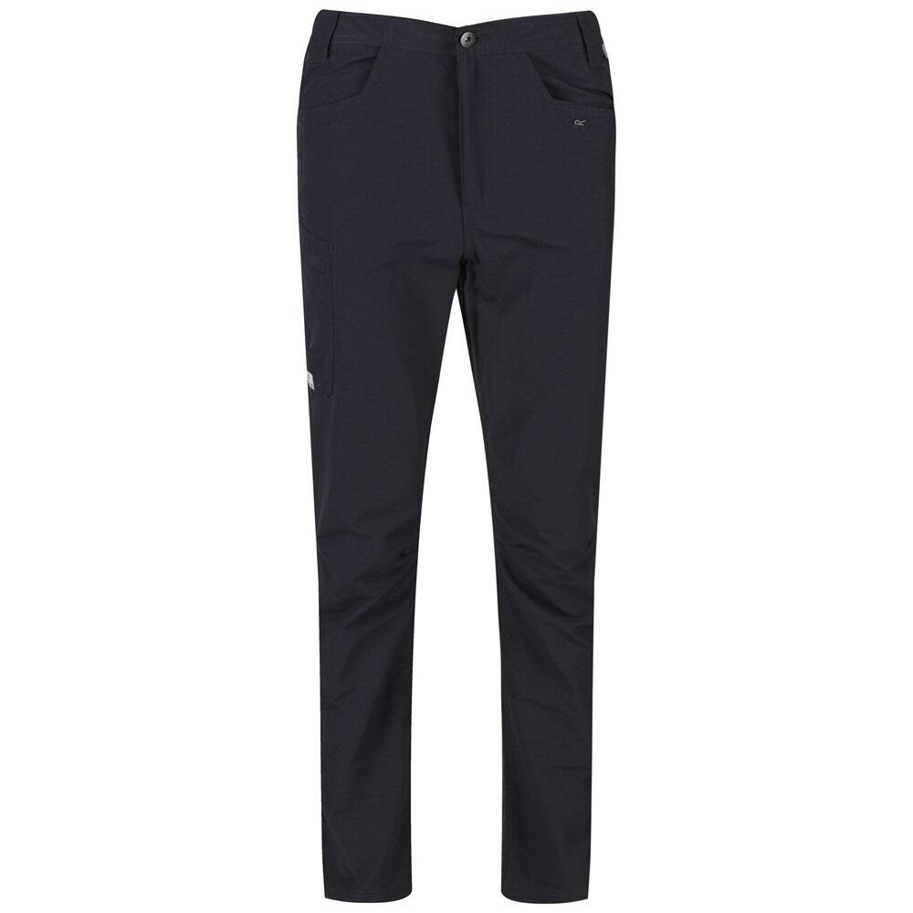 REGATTA Mens Delgado Trousers (Seal Grey)