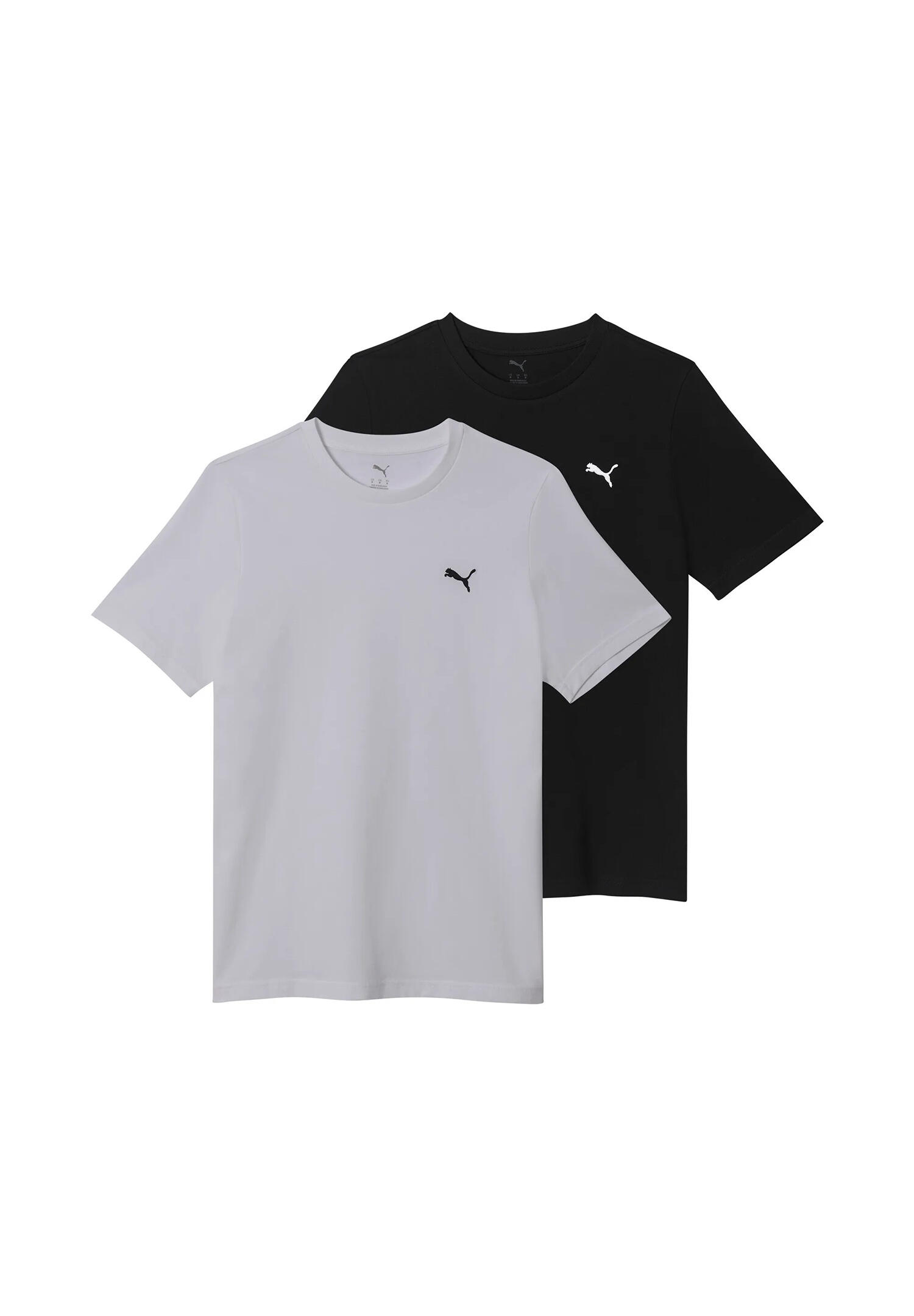 PUMA picture