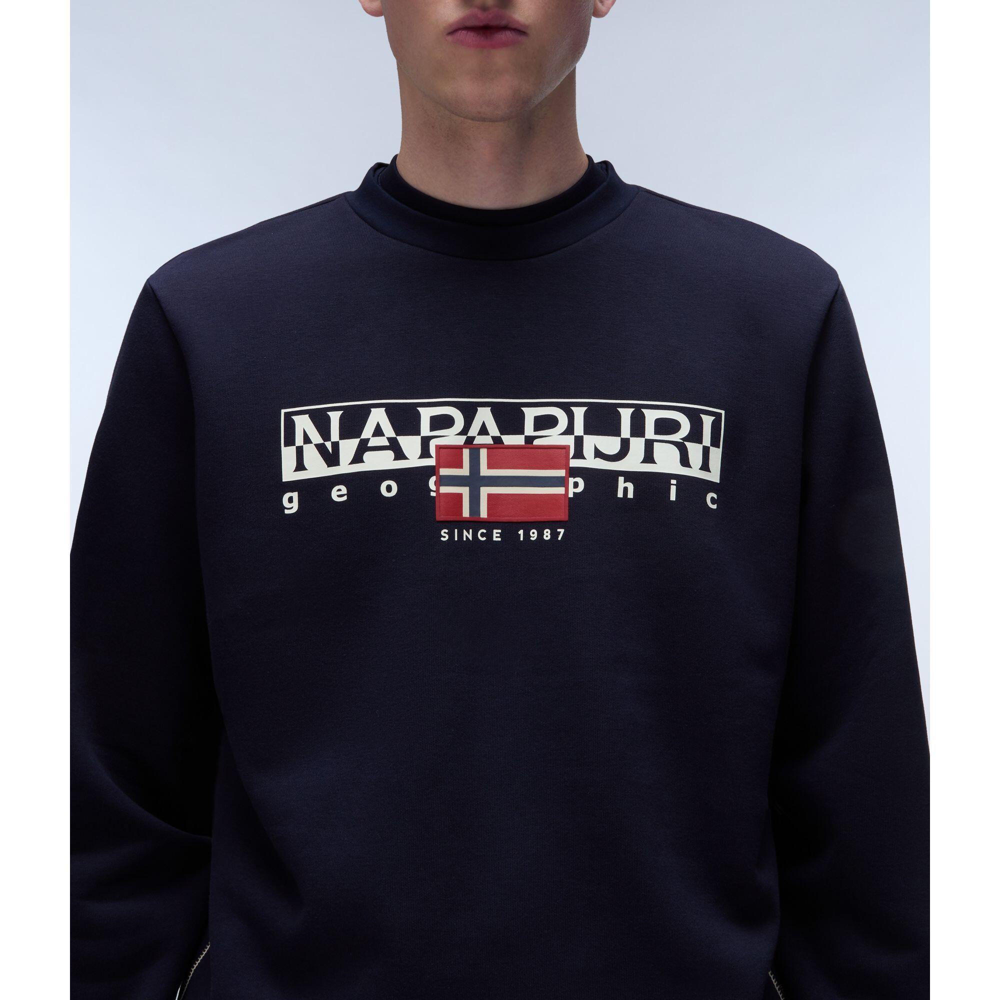 Sudadera con capucha Napapijri B-Aylmer C 5/5