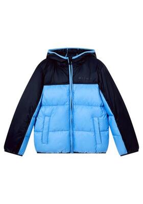 Champion hooded jacket kind