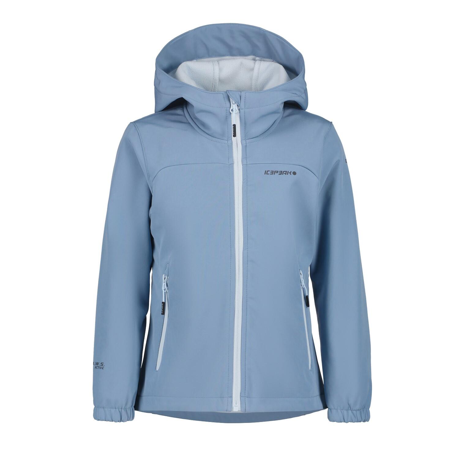 ICEPEAK picture