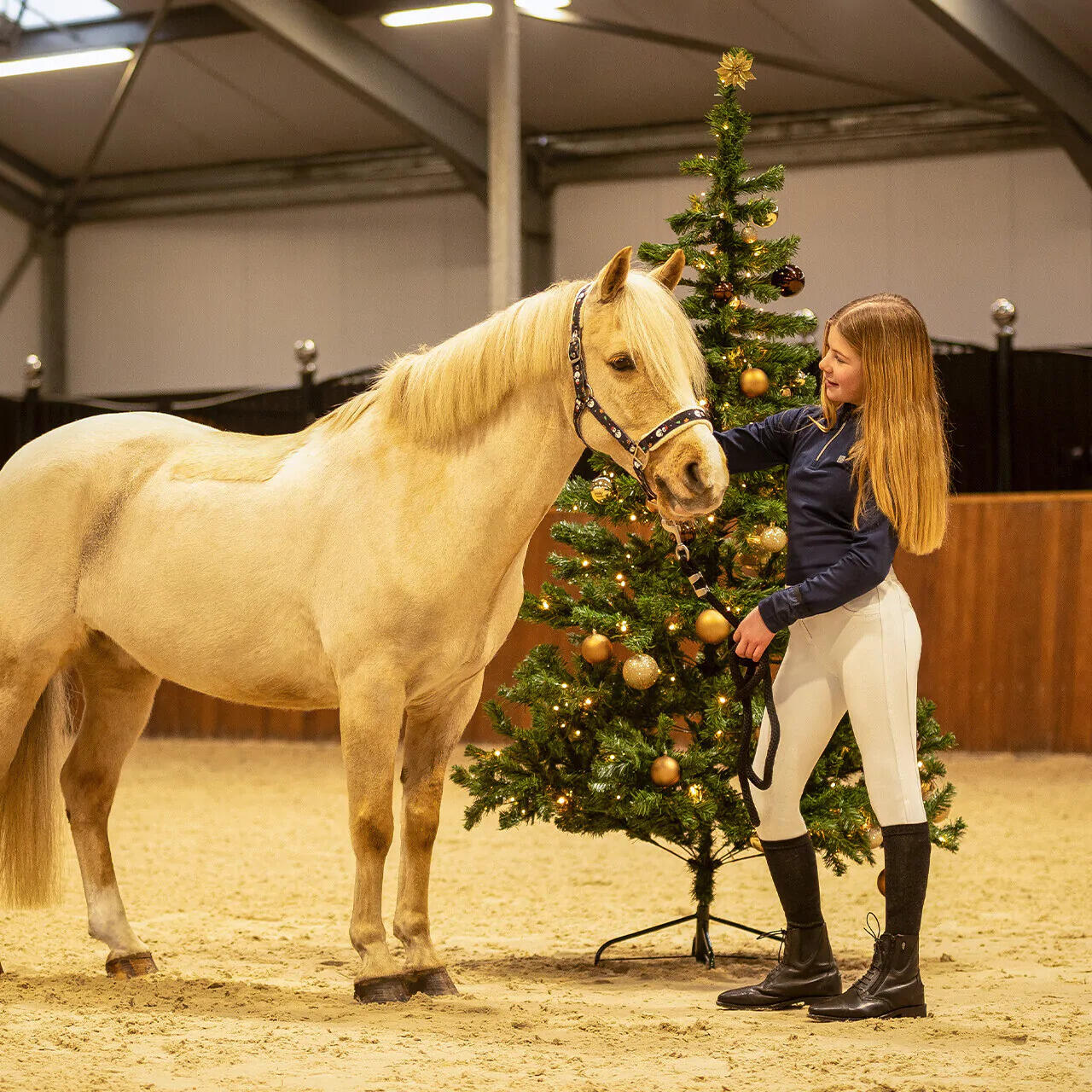Long Christmas patterned riding socks for women QHP 3/3