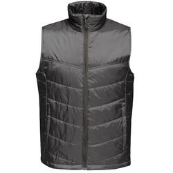 Veste Sans Manches Homme (Gris)