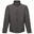 Veste softshell REID Homme (Gris)