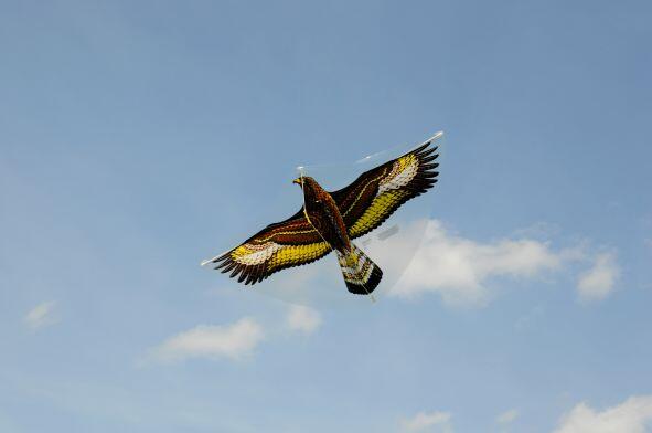Pipa infantil Gunther Golden Eagle GU1146 Castanho 122 x 68 cm 3/3