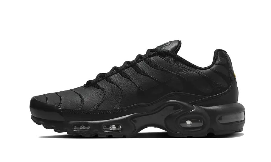 Air Max Plus Triple Black Leather 1/3