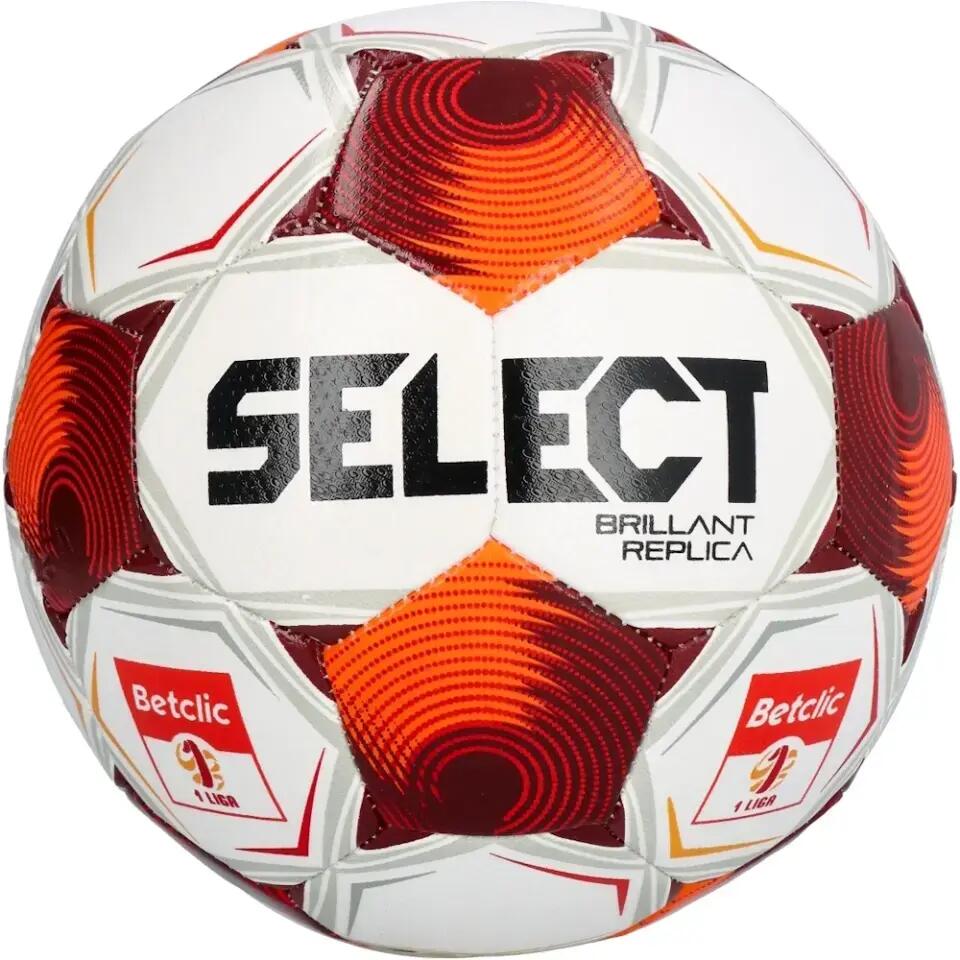 SELECT picture
