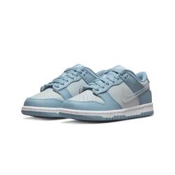Dunk Low Clear Swoosh