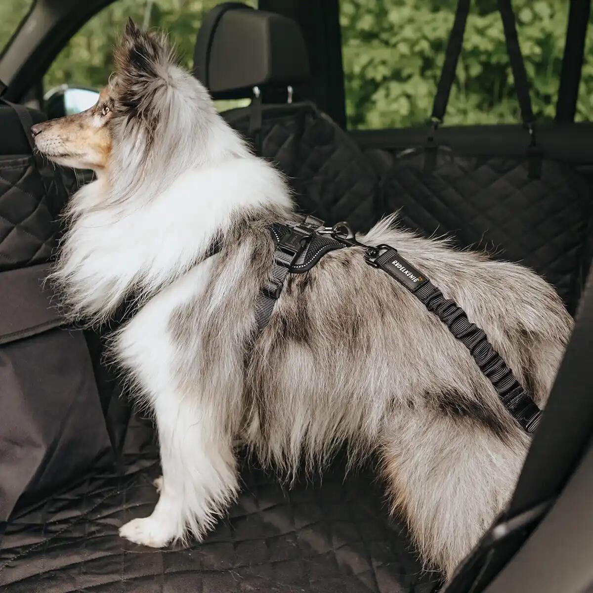 Cintura di Sicurezza per Cani – Guinzaglio da Auto Regolabile 3/6