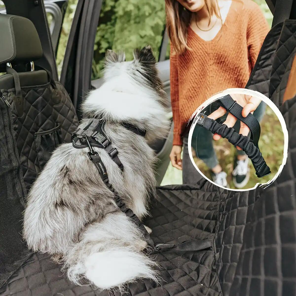 Cintura di Sicurezza per Cani – Guinzaglio da Auto Regolabile 2/6