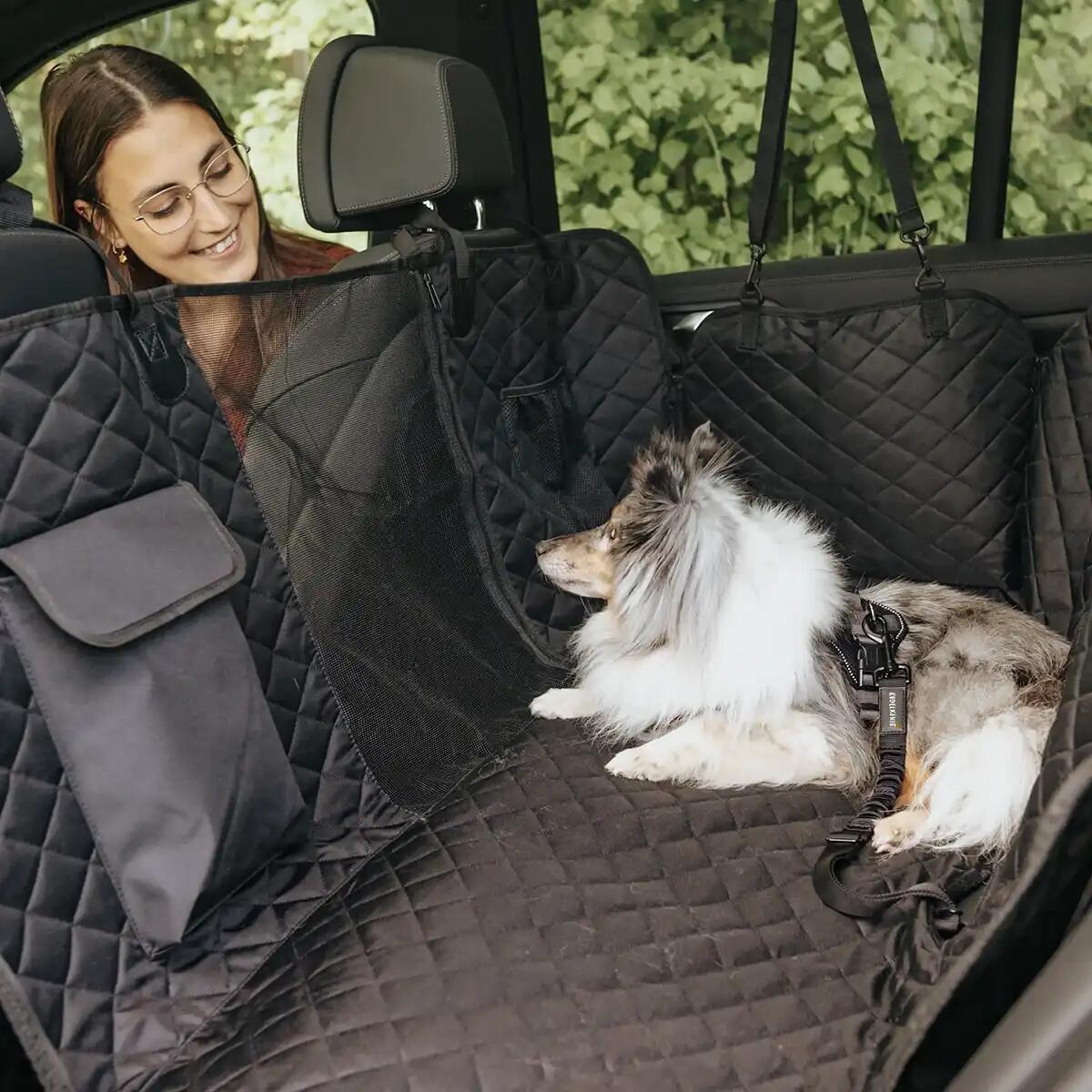 Cintura di Sicurezza per Cani – Guinzaglio da Auto Regolabile 5/6