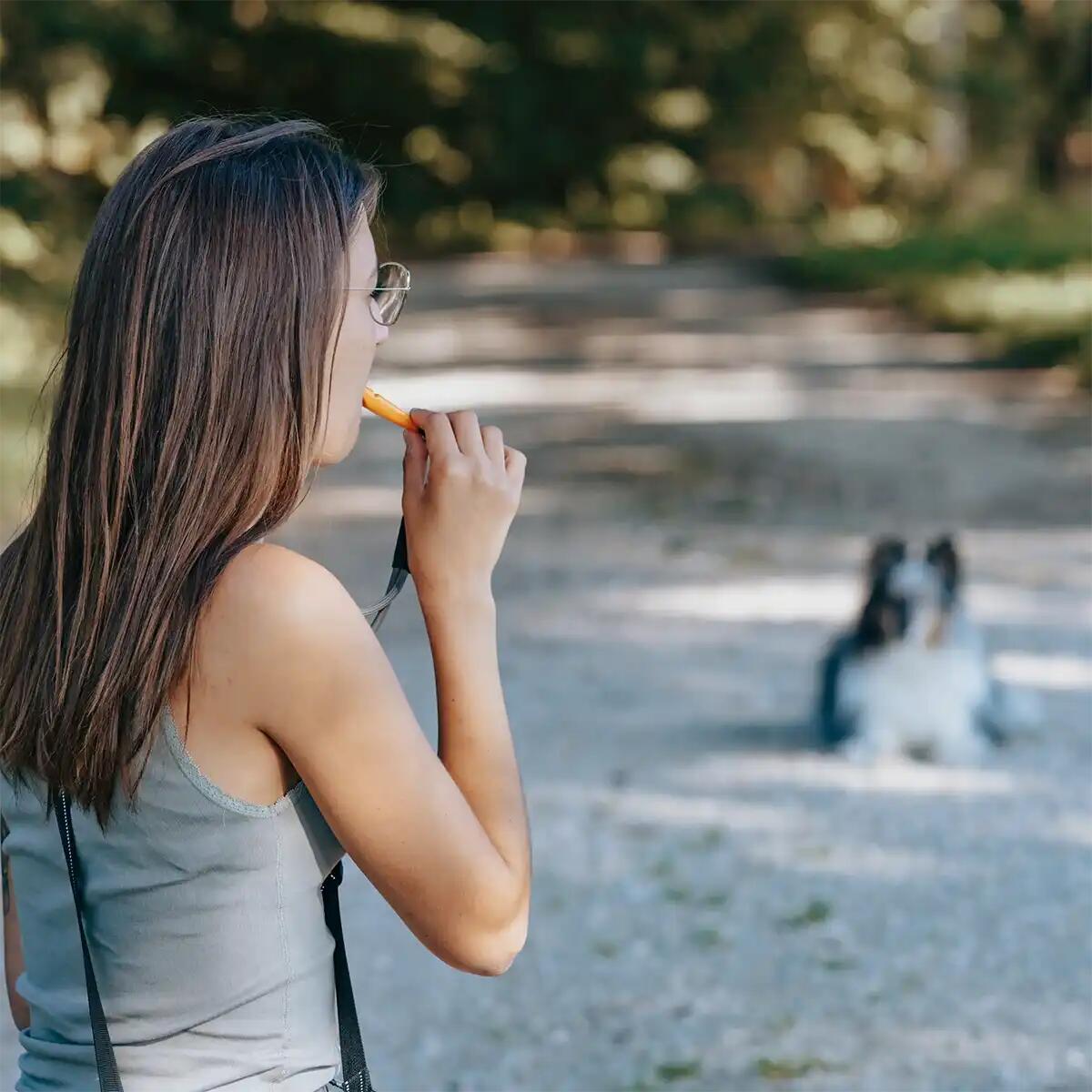 Fischietto da Addestramento per Cani – Richiamo Sicuro a Lunga Distanza 5/6