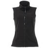 Dames Haber II 250 Series Antipluis Fleece Bodywarmer (Zwart)