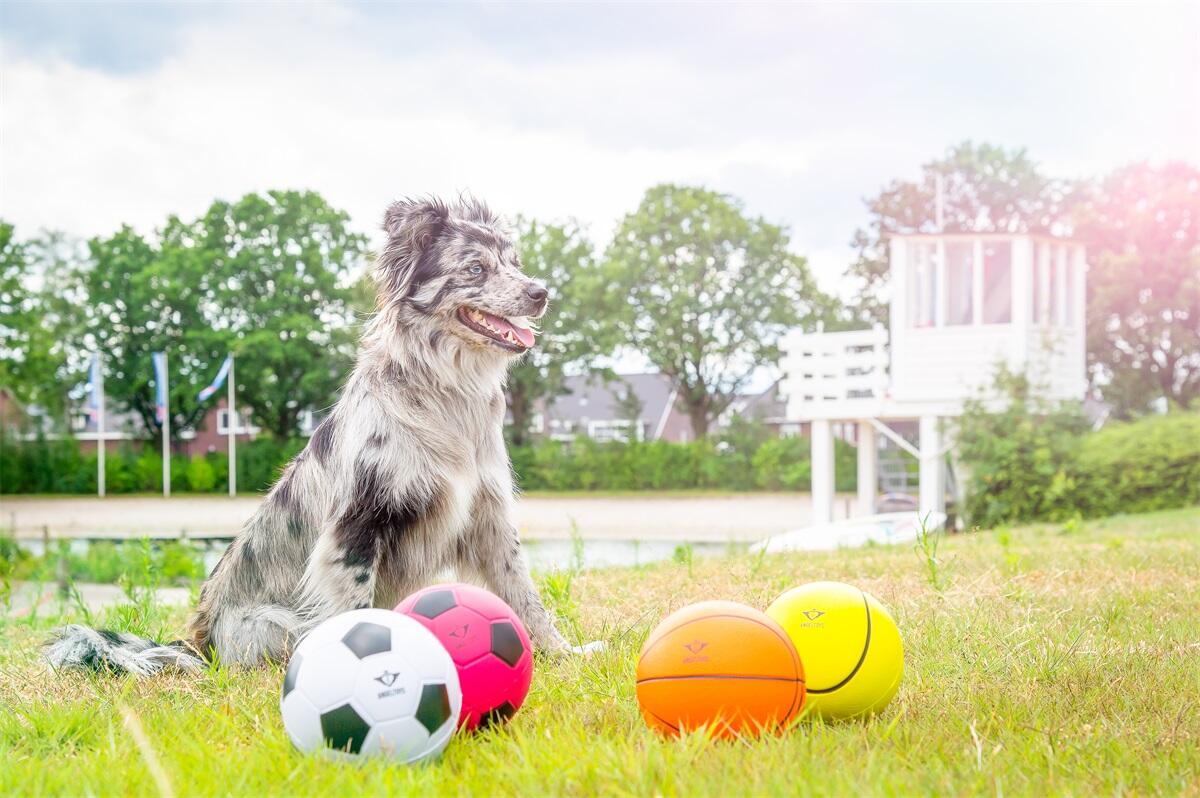 Bola de futebol em espuma branca/preta 2/3