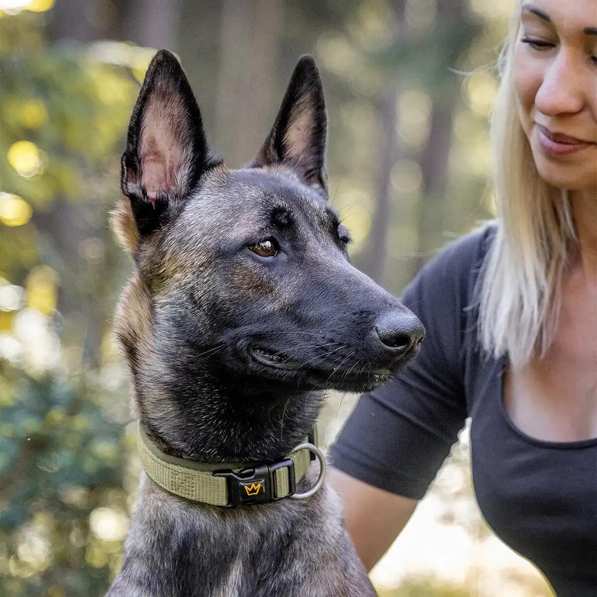 Collare Imbottito per Cani – Nylon Robusto con Morbido Neoprene 3/6
