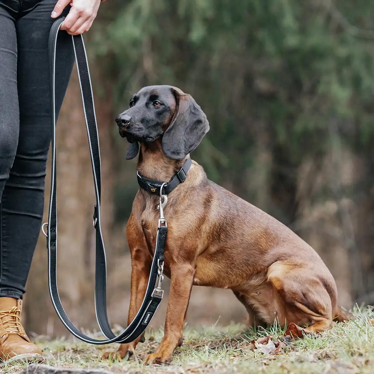 Rudelkönig Collier pour chien Paola réfléchissant réglable 2/6