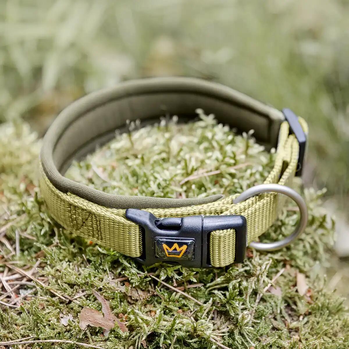 Collare Imbottito per Cani – Nylon Robusto con Morbido Neoprene 4/6