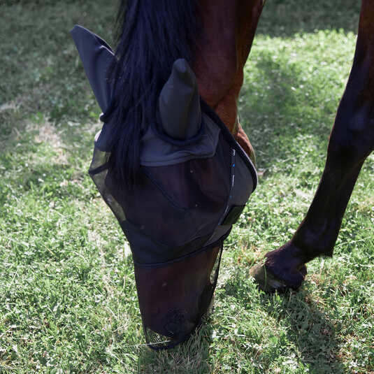 Verfrissend Anti-Vliegenmasker voor paarden Horze Limited Edition 4/5