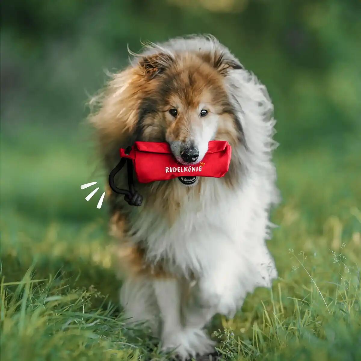 Futterdummy per Cani – Sacchetto da Riporto per Addestramento 2/6