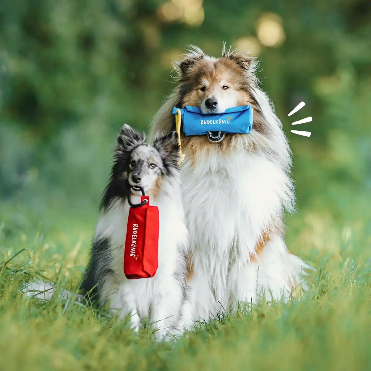 Futterdummy per Cani – Sacchetto da Riporto per Addestramento 6/6