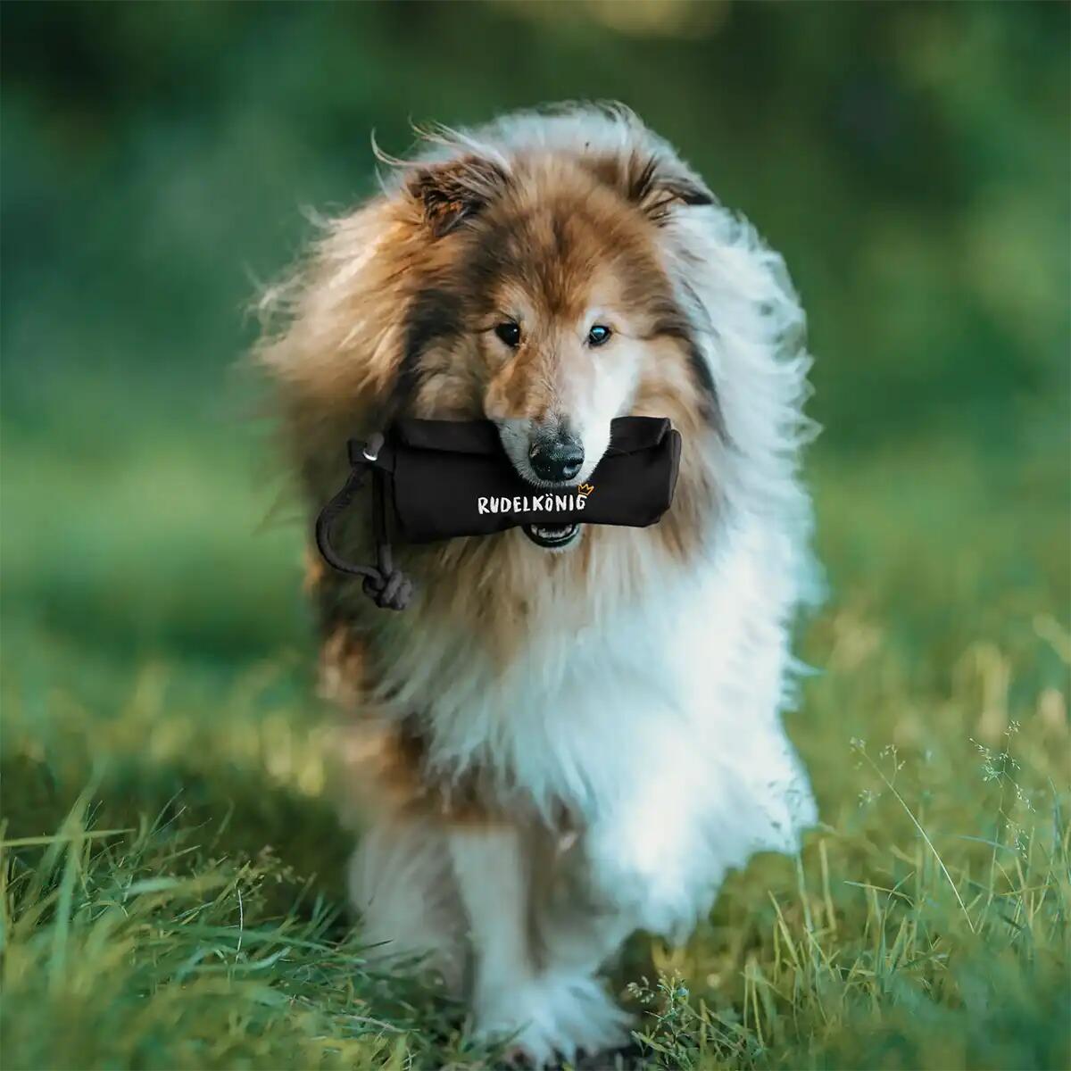 Futterdummy per Cani – Sacchetto da Riporto per Addestramento 2/6