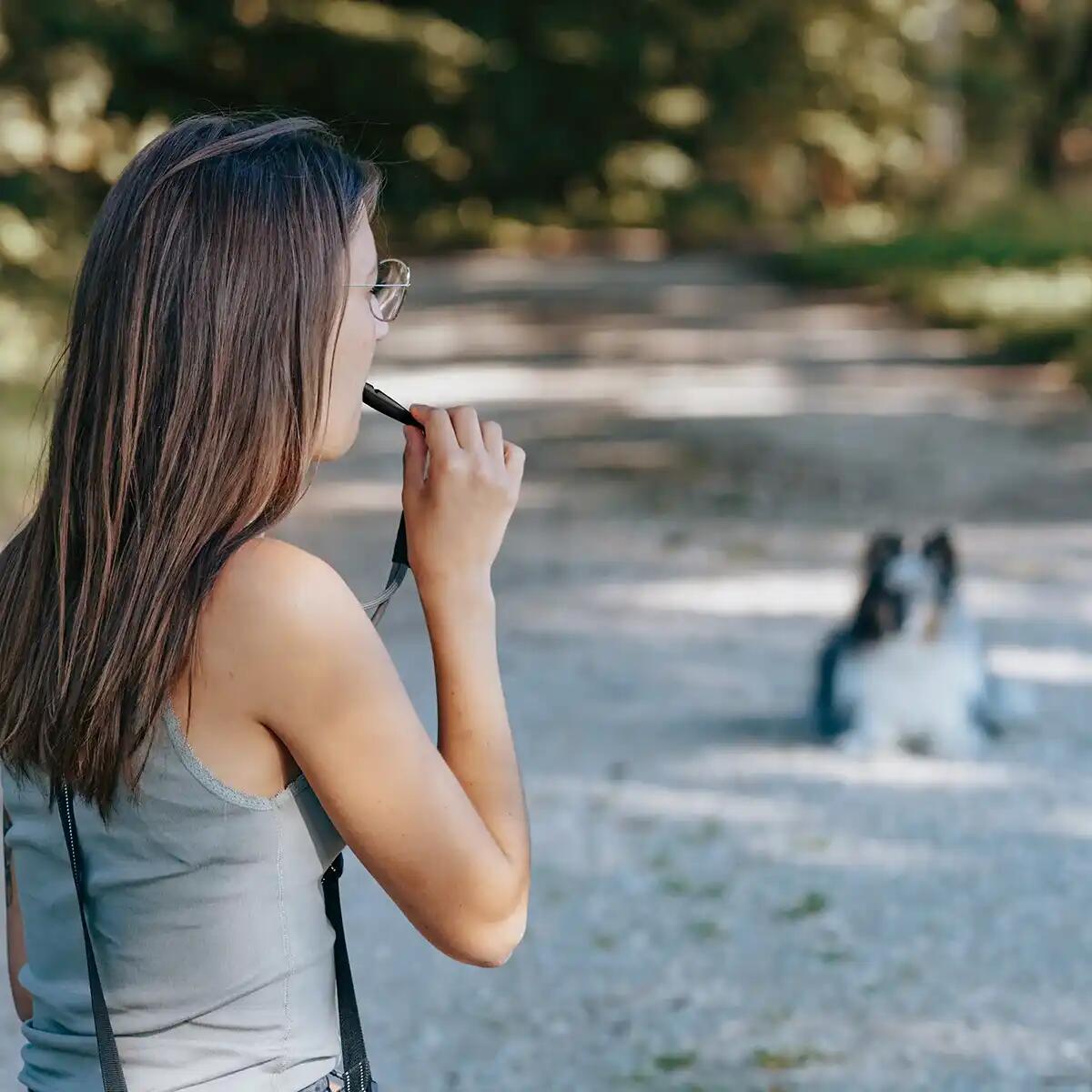 Silbato para perros - Ayuda para el adiestramiento en la llamada 4/6