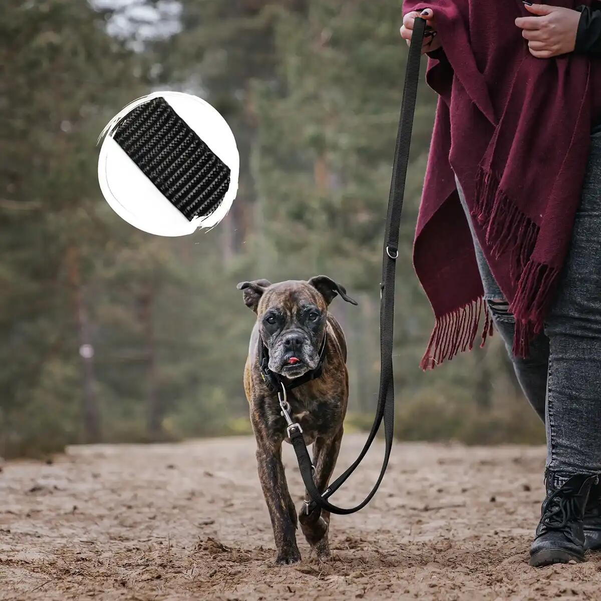 Guinzaglio Frida per Cani – Guinzaglio Regolabile e Stile Urbano 2/6