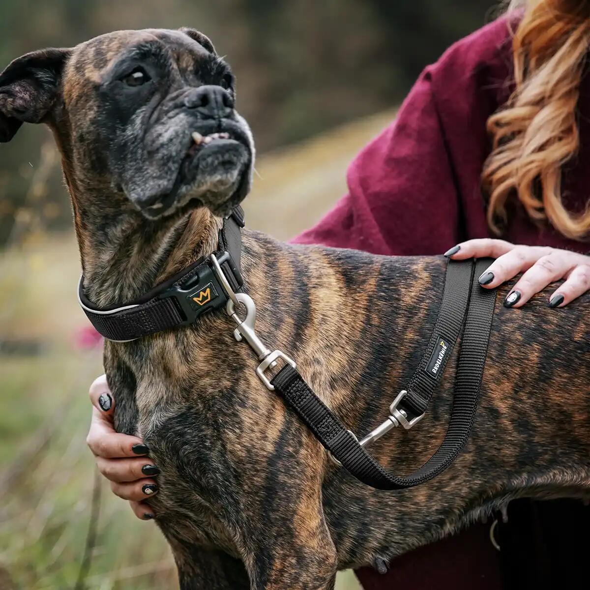 Guinzaglio Frida per Cani – Guinzaglio Regolabile e Stile Urbano 4/6