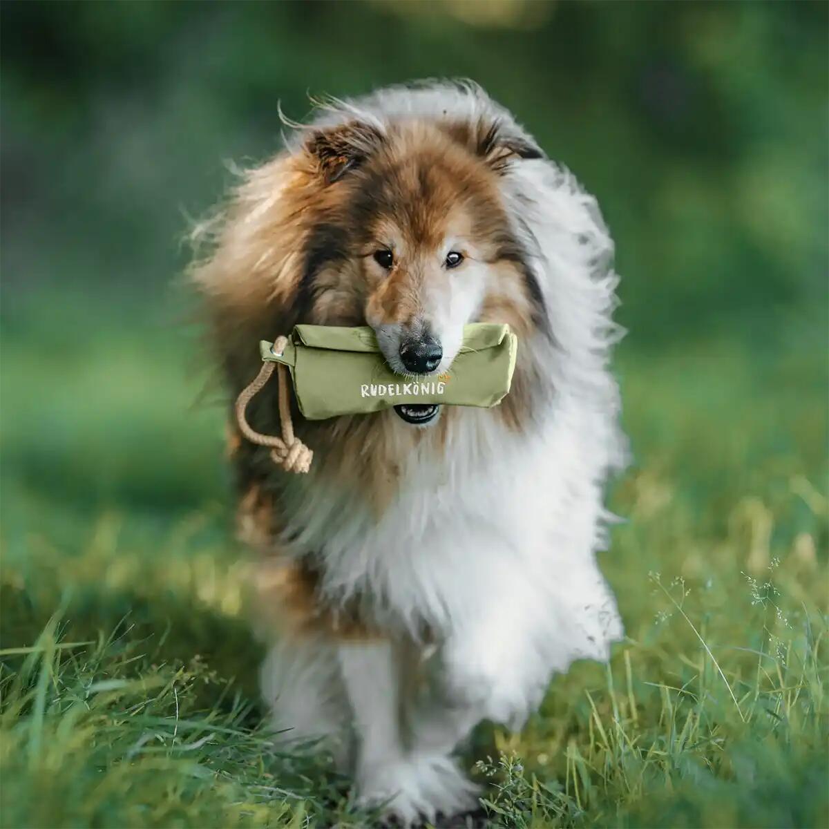Futterdummy per Cani – Sacchetto da Riporto per Addestramento 2/6
