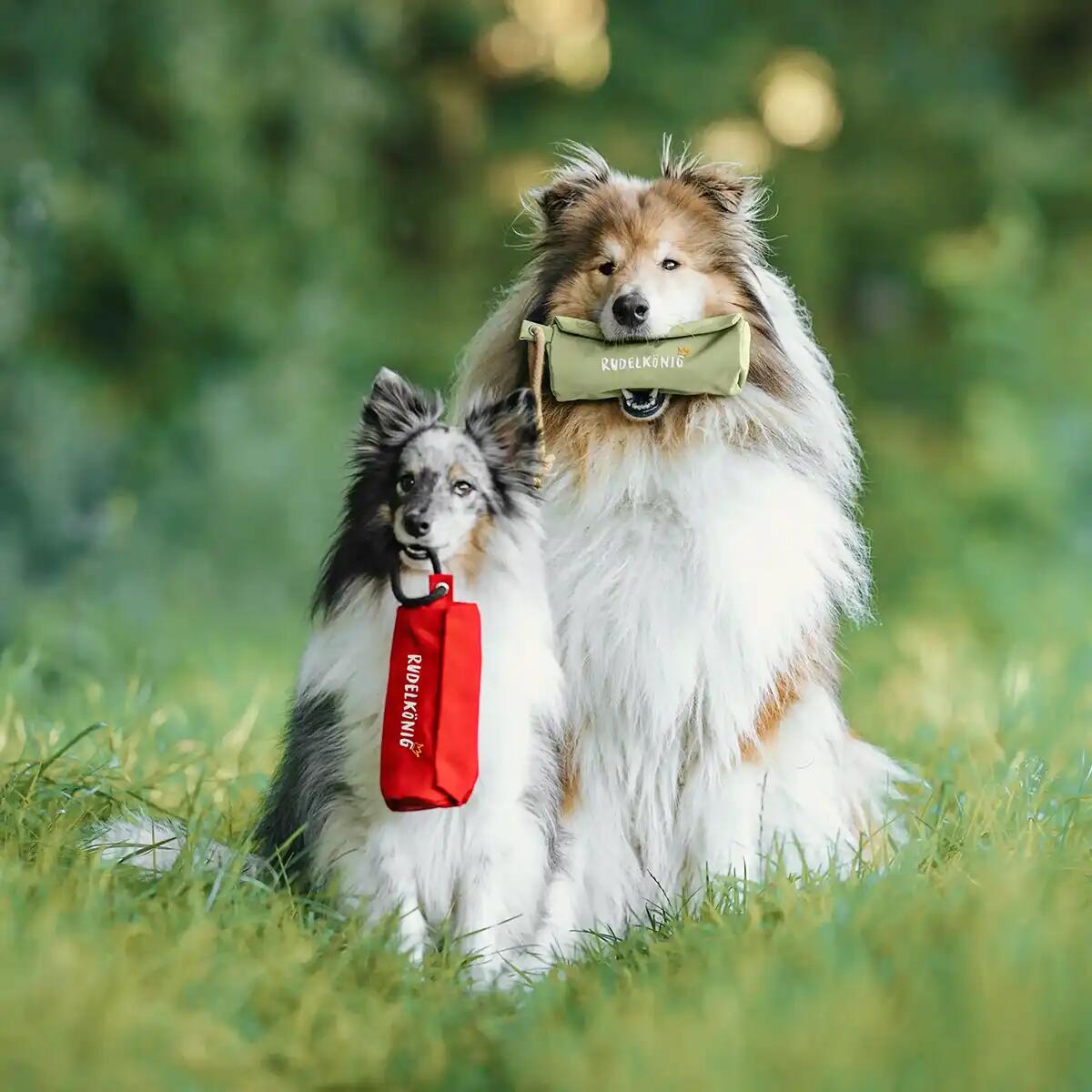 Futterdummy per Cani – Sacchetto da Riporto per Addestramento 6/6