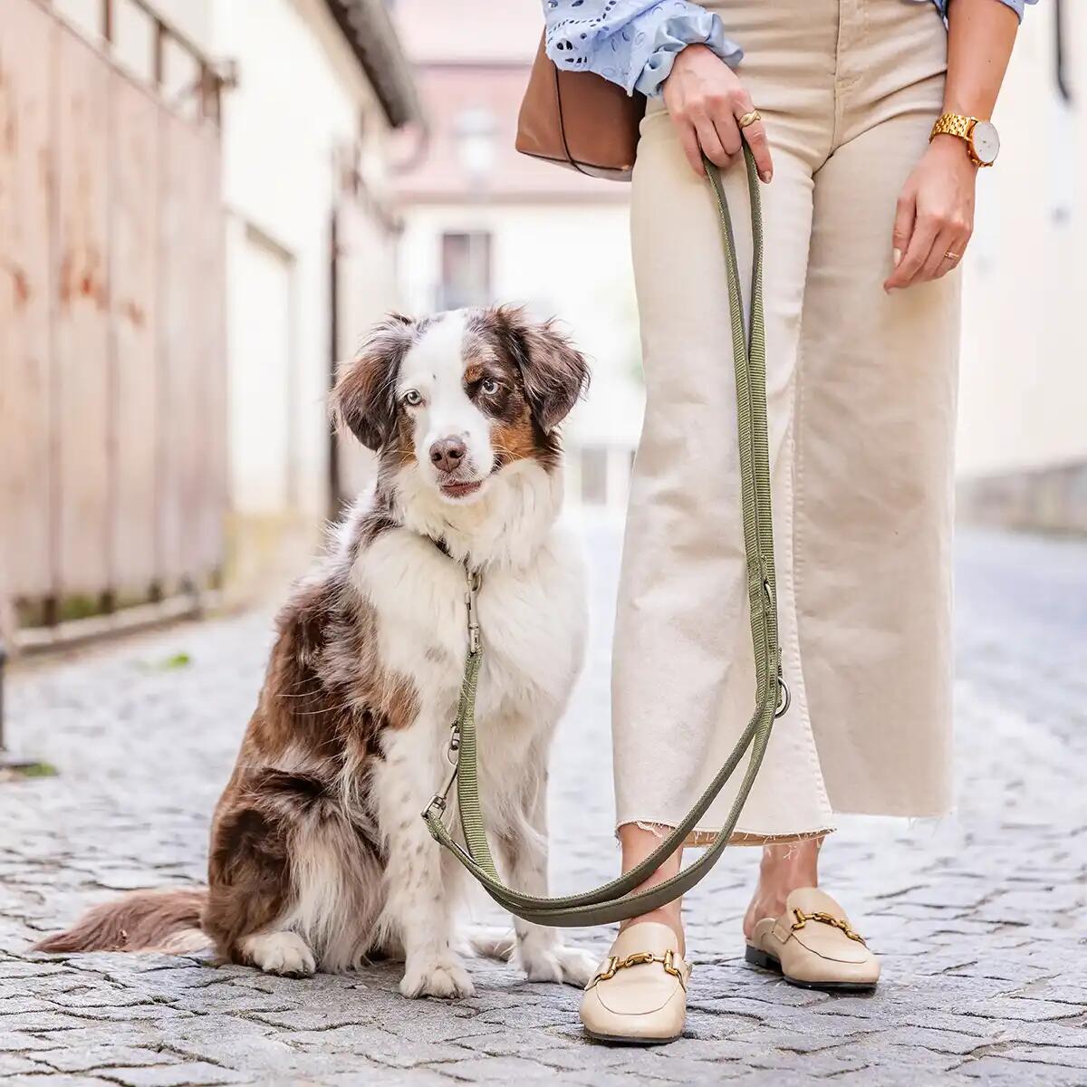 Laisse pour chien Bella reglable 6/7