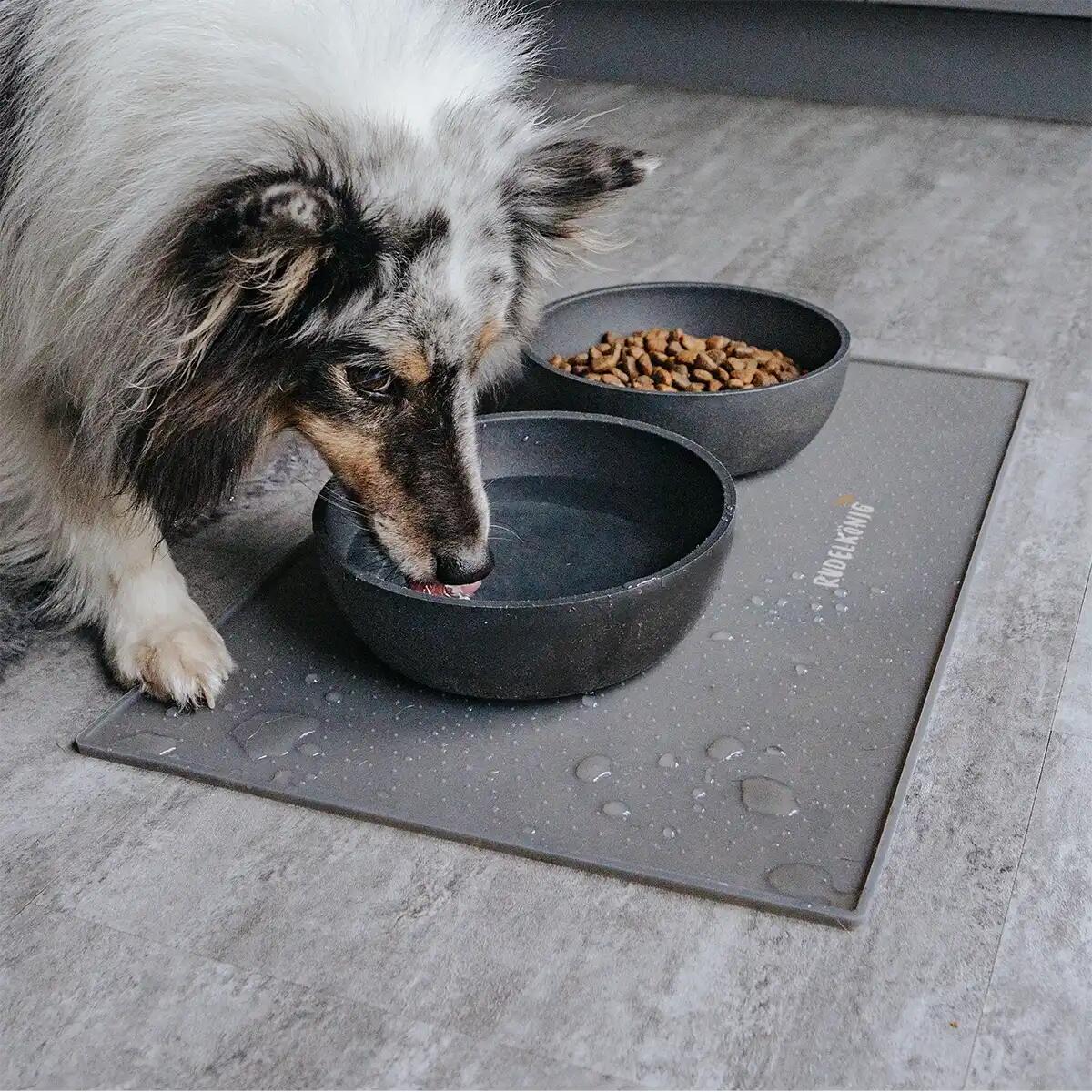 Rudelkönig Tapis pour gamelle pour chiens et chats 3/6
