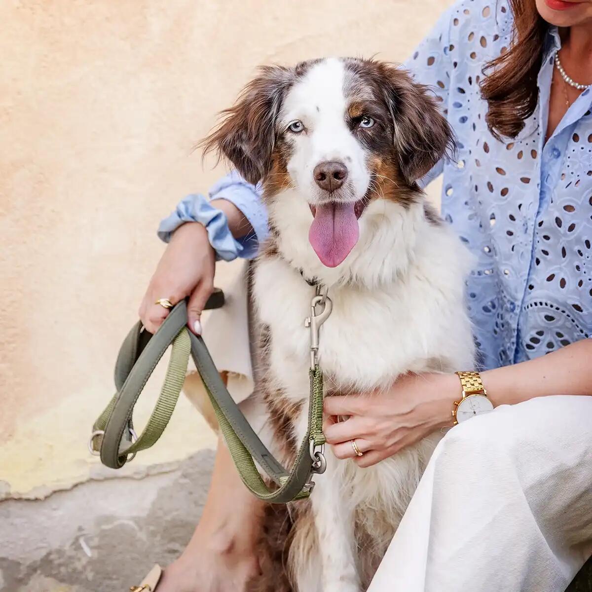 Laisse pour chien Bella reglable 7/7