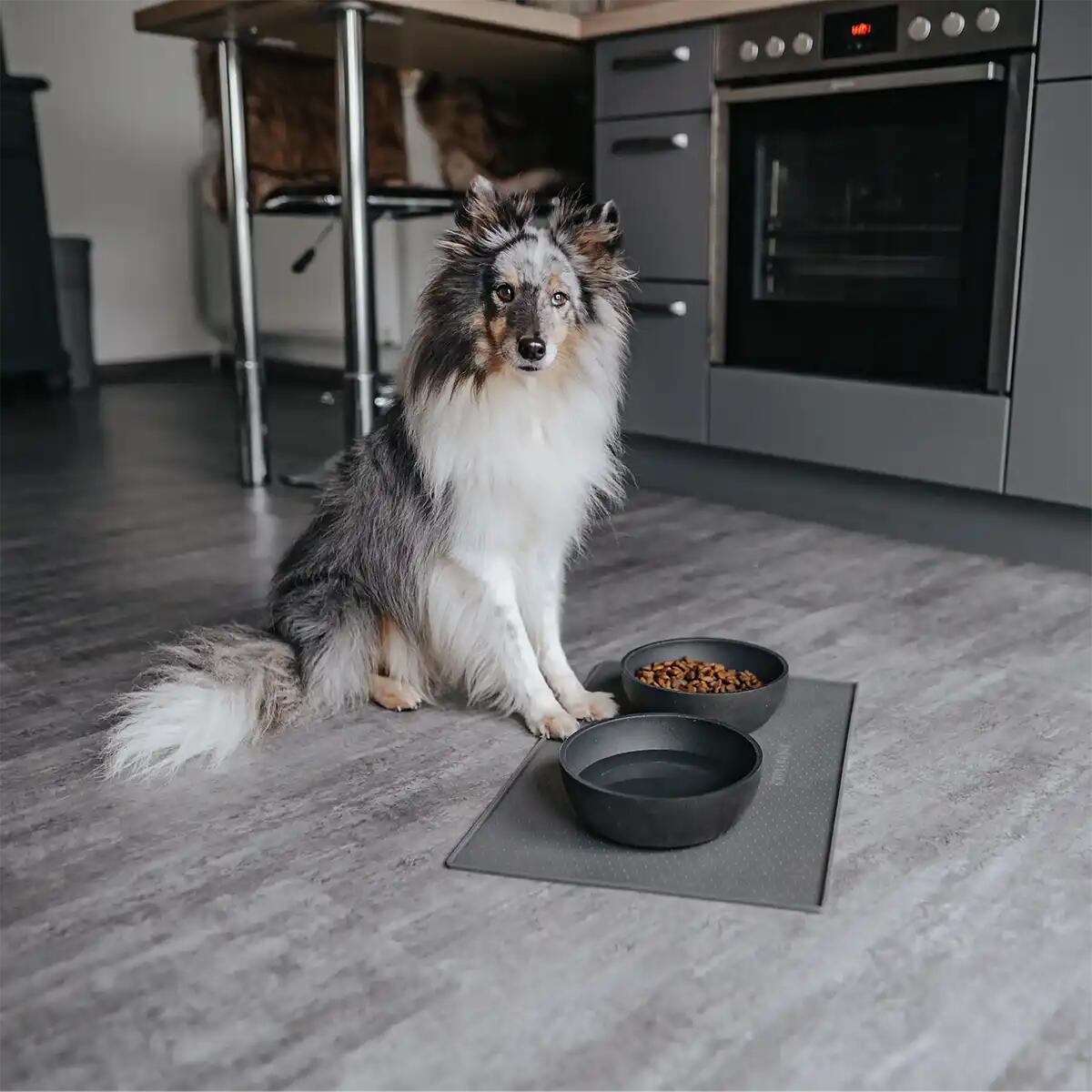 Rudelkönig Tapis pour gamelle pour chiens et chats 5/6