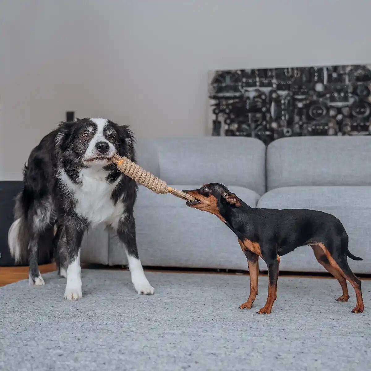 Set 3 Giochi in Corda per Cani – 100% Cotone, Robusti & Delicati sui Denti 3/6