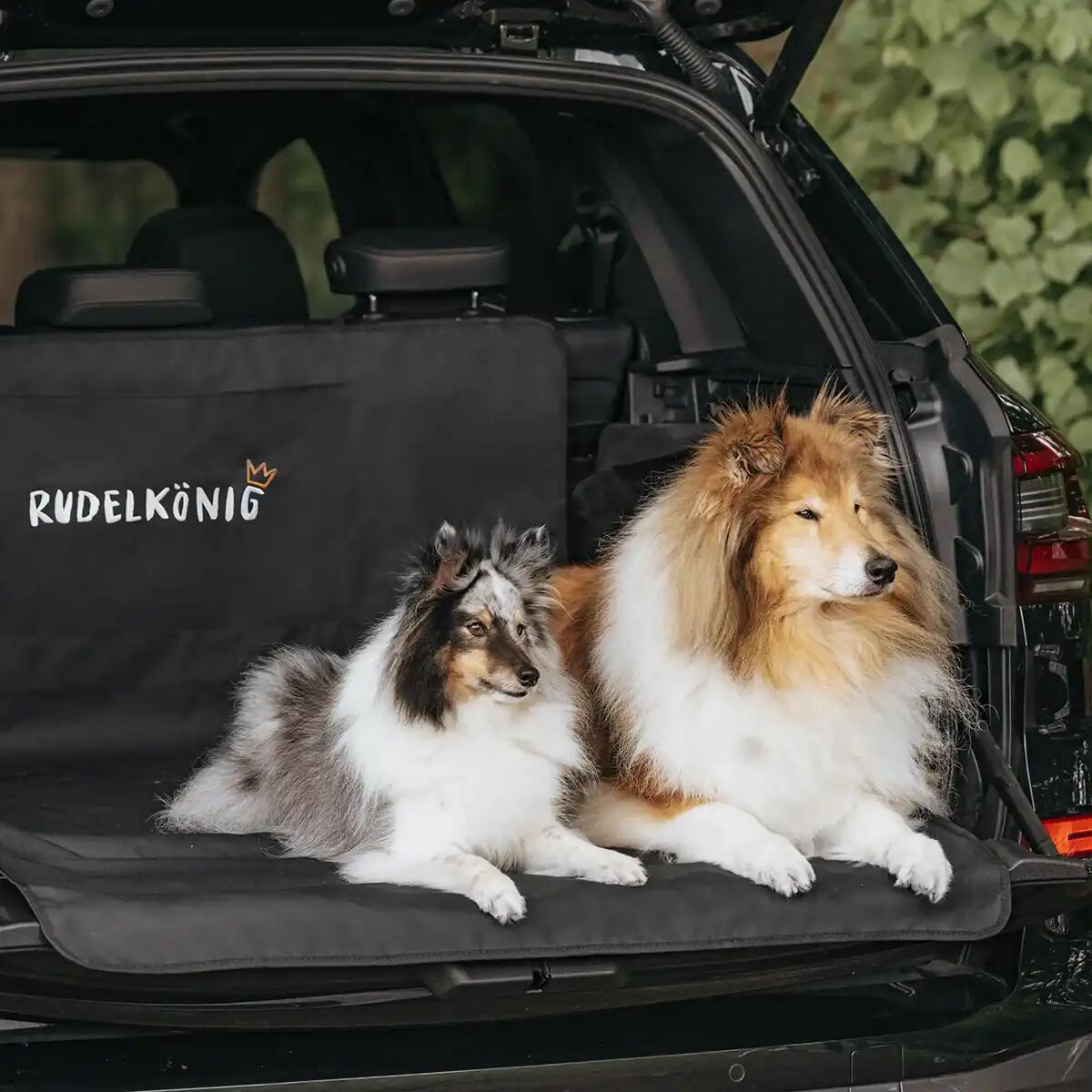 Kofferraumschutz – Autoschondecke für Hunde 6/6