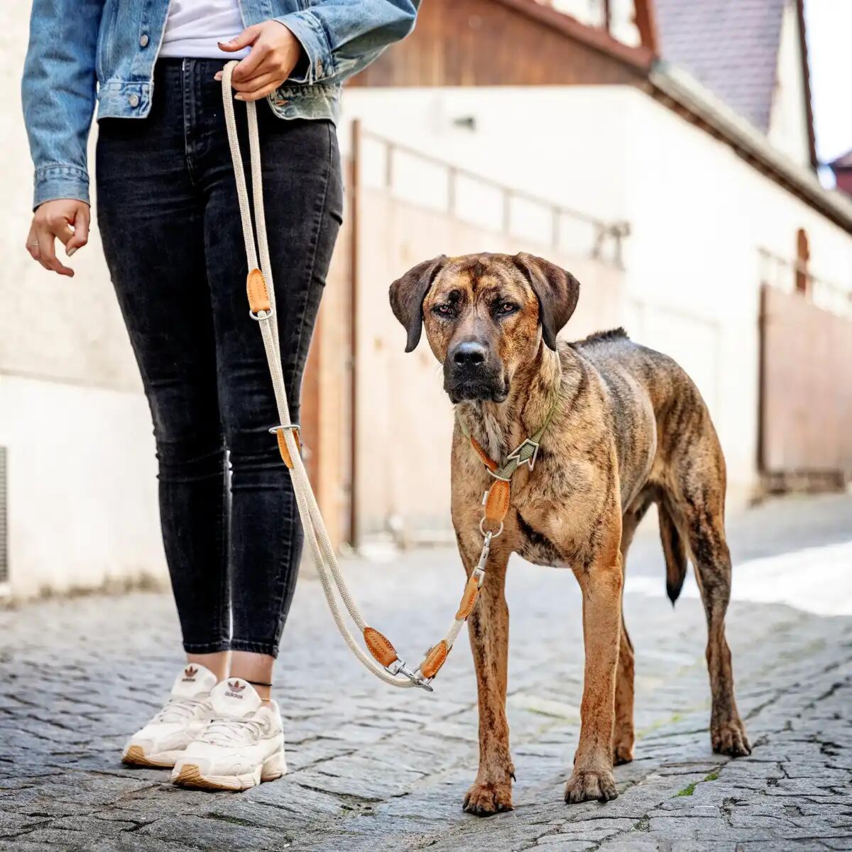 Guinzaglio Emma per Cani – Guinzaglio Regolabile Leggero ed Elegante 2/6