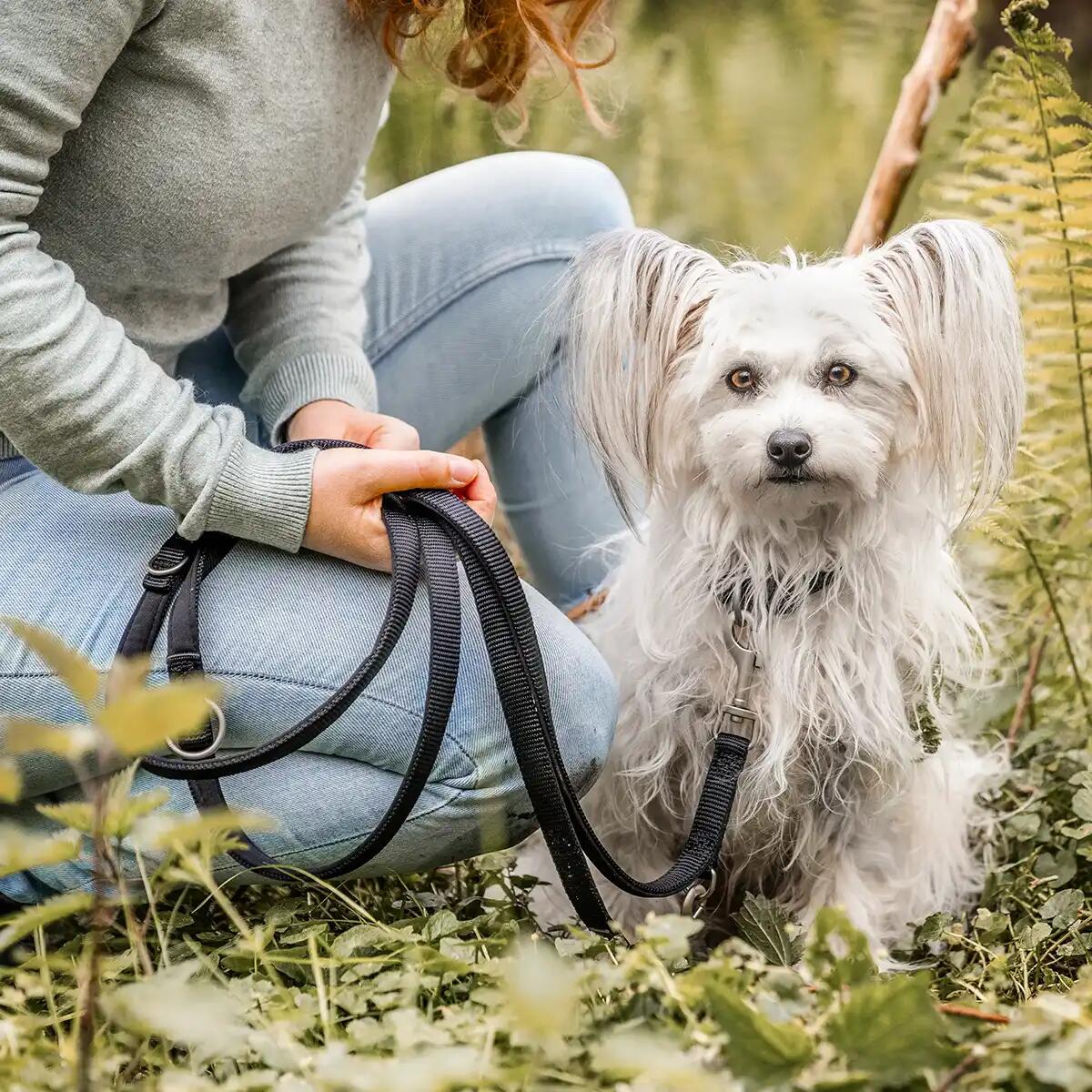 Guinzaglio Bella per Cani – Guinzaglio Regolabile e Morbido Premium 5/6