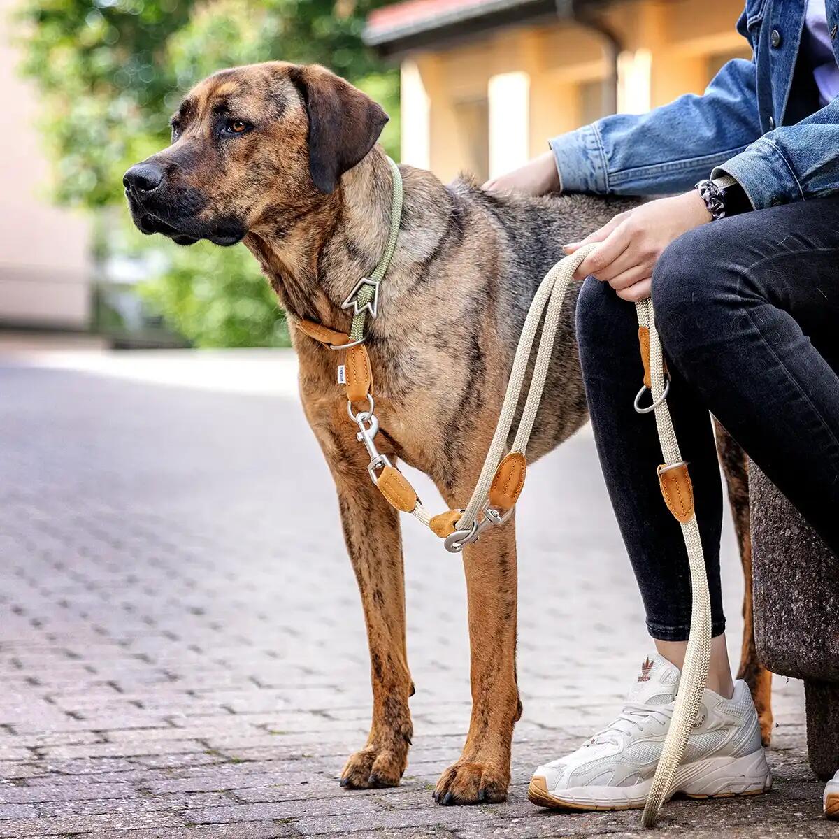 Guinzaglio Emma per Cani – Guinzaglio Regolabile Leggero ed Elegante 4/6