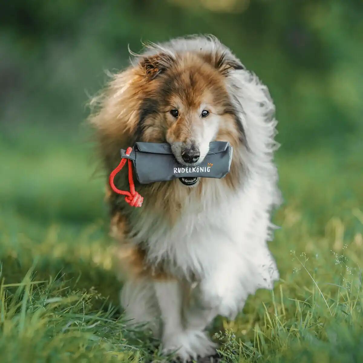 Futterdummy per Cani – Sacchetto da Riporto per Addestramento 2/6